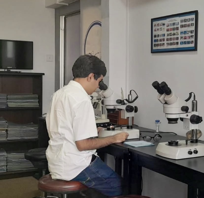 Gemmologist examining a stone under a microscope
