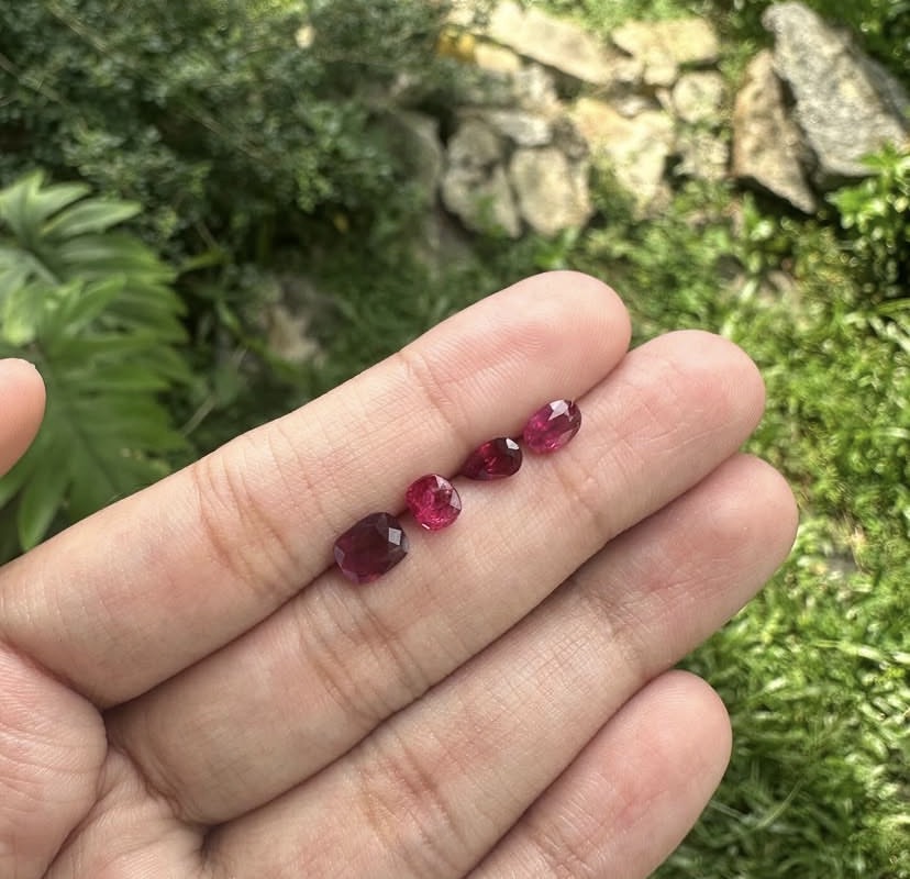 Small parcel of faceted ruby stones on a hand