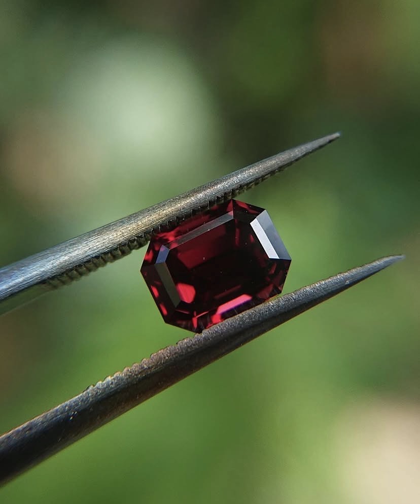 Emerald-cut red ruby held in tweezers