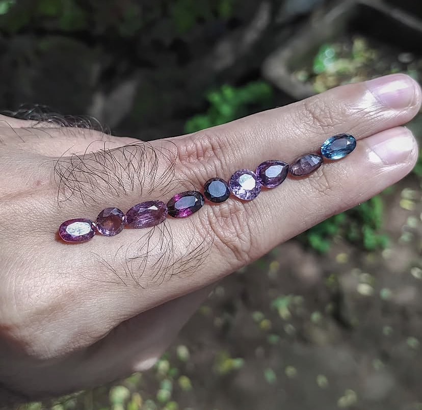 A suite of fancy colour sapphires lined up on a hand